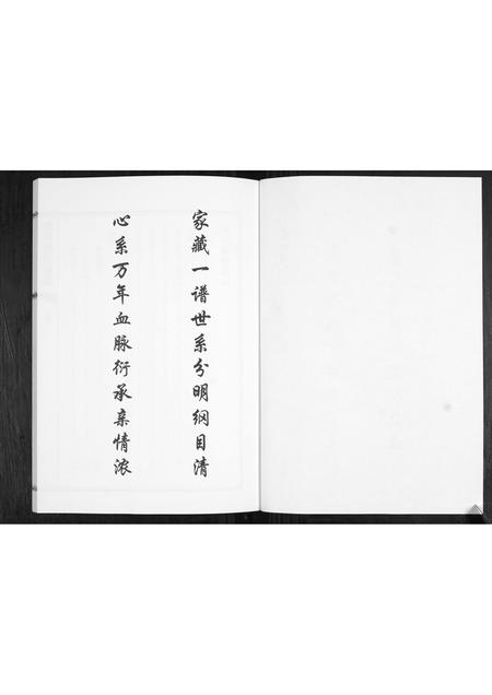 山东刘氏-刘氏族谱.pdf电子版预览图3