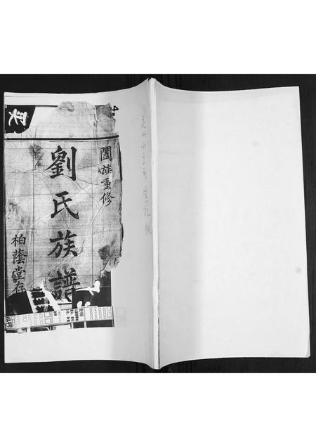 山东刘氏-刘氏族谱.pdf电子版缩略图