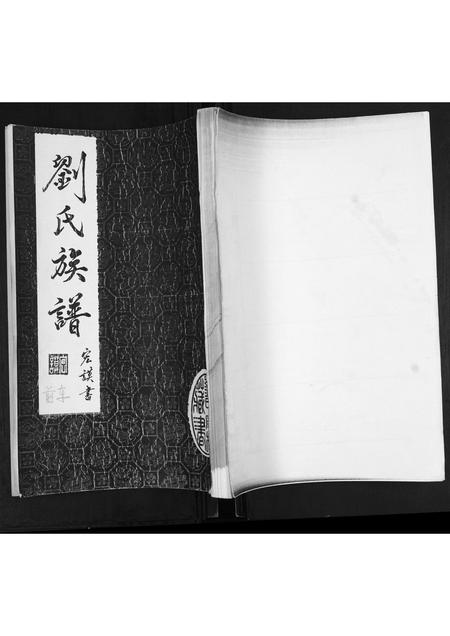 山东刘氏-刘氏族谱.pdf电子版缩略图