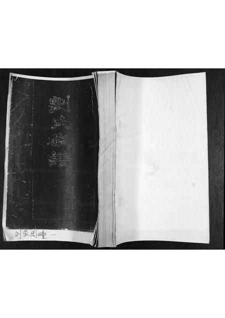 山东刘氏-刘氏族谱.pdf电子版缩略图