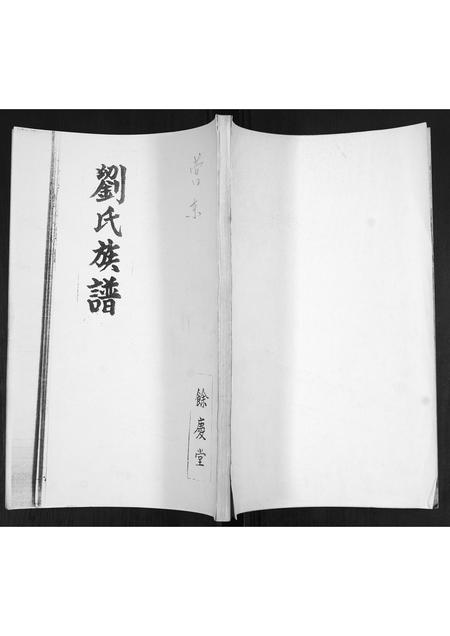 山东刘氏-刘氏族谱.pdf电子版缩略图