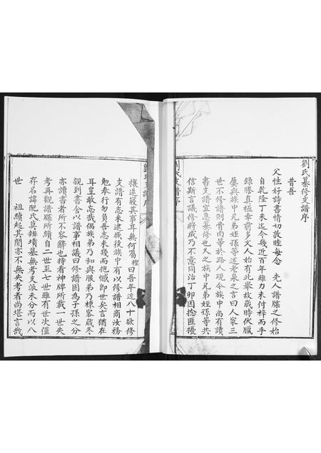 山东刘氏-刘氏族谱.pdf电子版预览图3