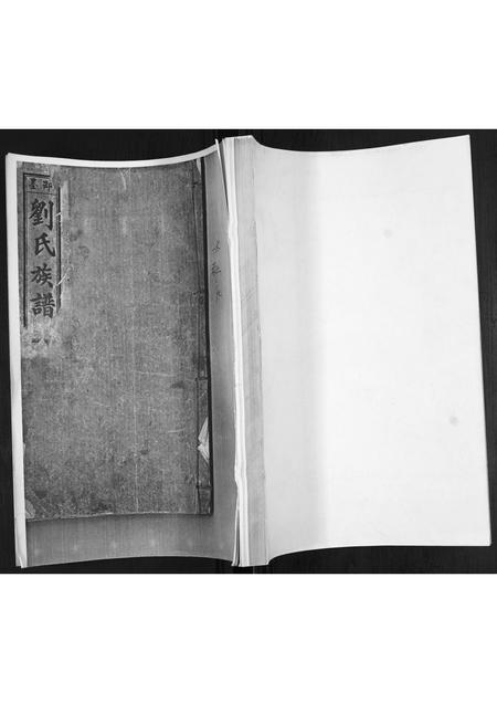 山东刘氏-刘氏族谱.pdf电子版缩略图