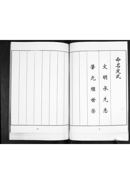 山东刘氏-刘氏族谱.pdf电子版预览图5