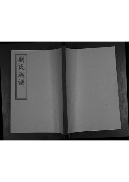 山东刘氏-刘氏族谱.pdf电子版缩略图