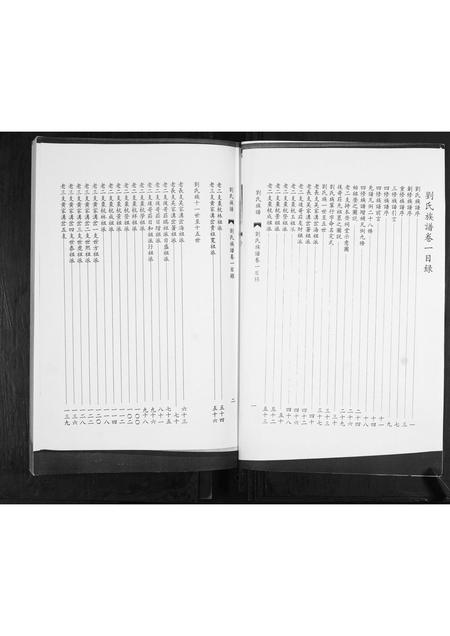 山东刘氏-刘氏族谱.pdf电子版预览图2