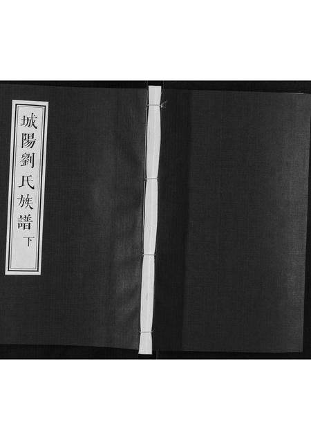 山东刘氏-刘氏族谱.pdf电子版缩略图