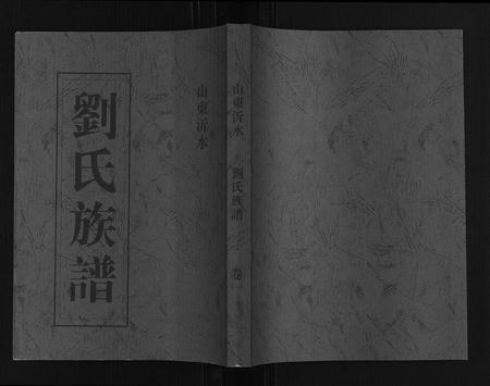 山东刘氏-刘氏族谱.pdf电子版缩略图