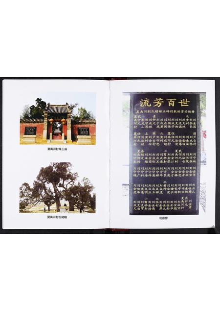 山东刘氏-夏禹河村刘氏支谱.pdf电子版预览图5