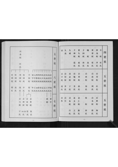 山东刘氏-杜家刘氏族谱[不分卷].pdf电子版预览图4