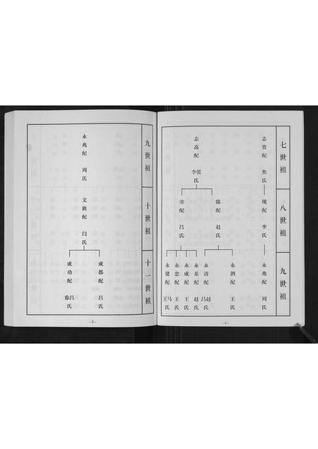 山东刘氏-杜家刘氏族谱[不分卷].pdf电子版预览图5