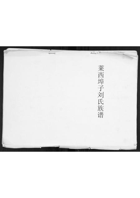 山东刘氏-莱西埠子刘氏族谱.pdf电子版缩略图