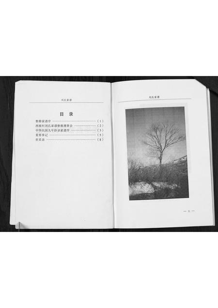 山西刘氏-光华西坡刘氏家谱.pdf电子版预览图2