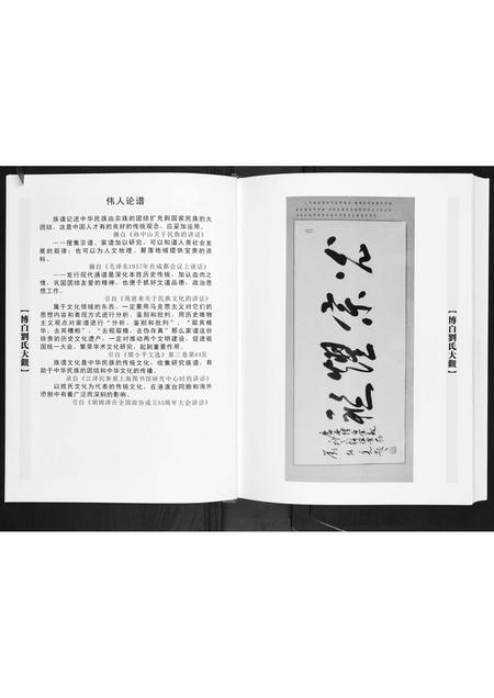 广西刘氏-广西省博白刘氏大观.pdf电子版预览图4