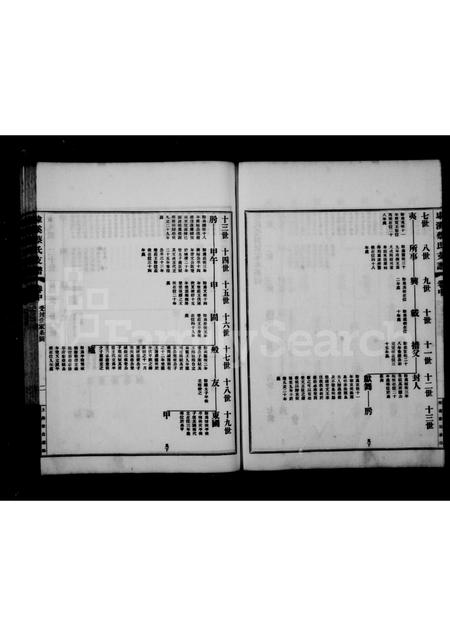 4009.埭溪蔡氏支谱 ： [3卷：首1卷].pdf电子版预览图3