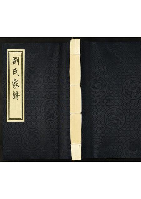 河北刘氏-刘氏家谱.pdf电子版缩略图