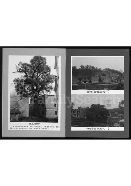 4103.岘西杜氏宗谱 [不分卷](别名：Xian Xi Du Shi Zong Pu、岘西杜氏城头房宗谱).pdf电子版预览图5