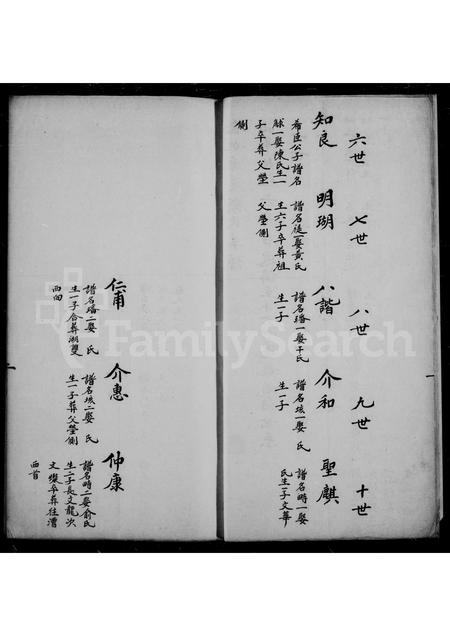 4161.顾氏宗谱.pdf电子版预览图2