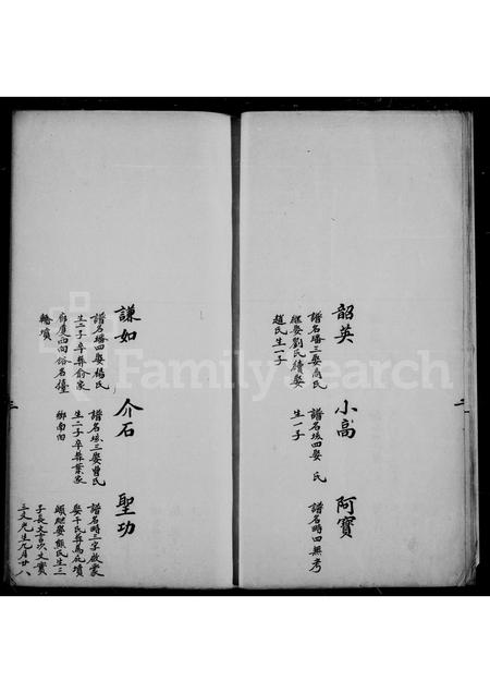 4161.顾氏宗谱.pdf电子版预览图3