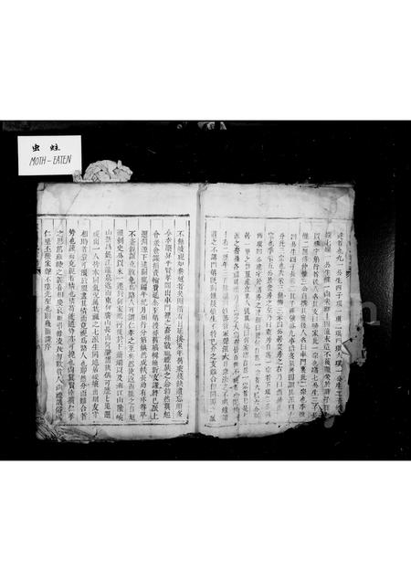 4191.续修家山何氏车门里宗谱 [1卷](别名：家山何氏宗谱).pdf电子版预览图2