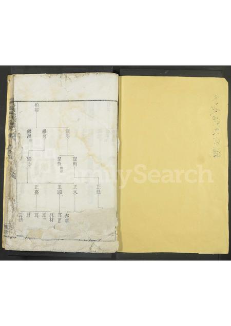 4202.杏坡胡氏宗谱 [残卷].pdf电子版缩略图