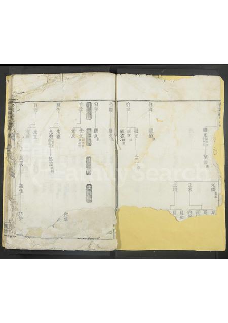 4202.杏坡胡氏宗谱 [残卷].pdf电子版预览图1