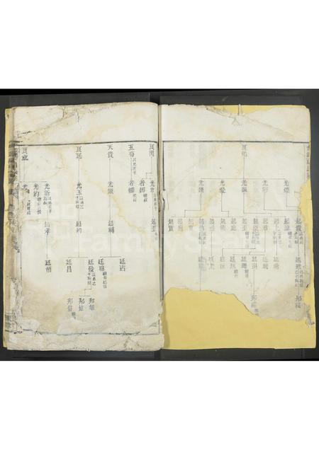 4202.杏坡胡氏宗谱 [残卷].pdf电子版预览图2