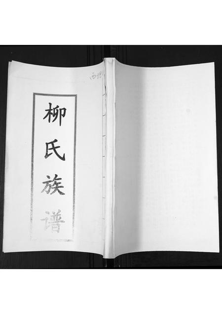 山东柳氏-柳氏族谱[不分卷].pdf电子版缩略图