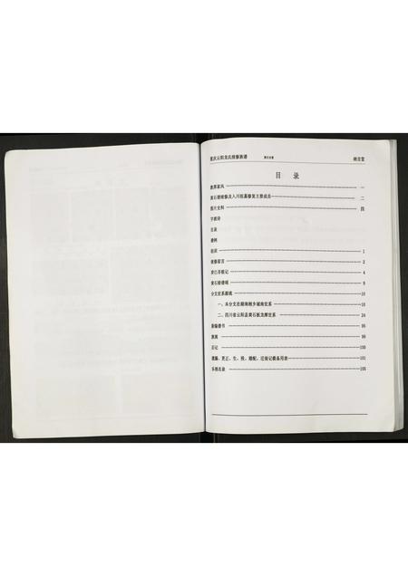 四川龙氏-重庆云阳龙氏续修族谱.pdf电子版预览图4