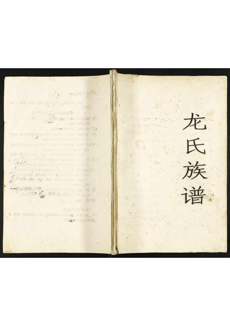 四川龙氏-龙氏族谱.pdf电子版缩略图