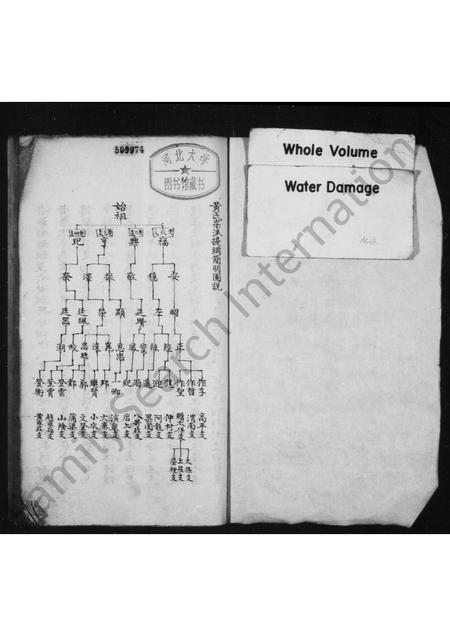 4247.山阴黄氏谱稿.pdf电子版预览图1