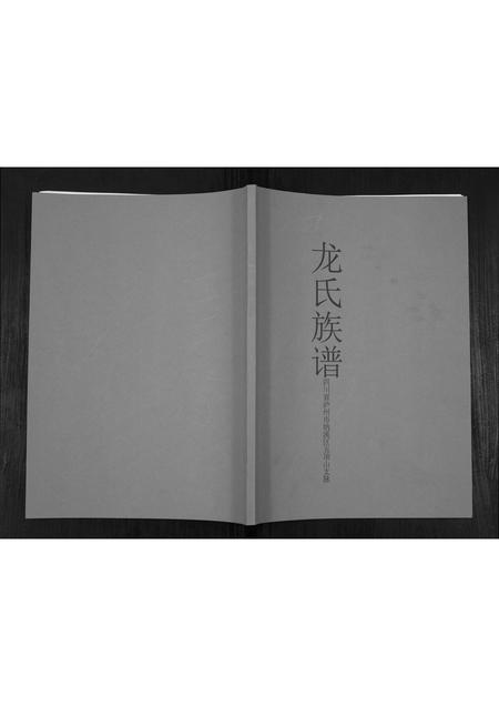 四川龙氏-龙氏族谱.pdf电子版缩略图