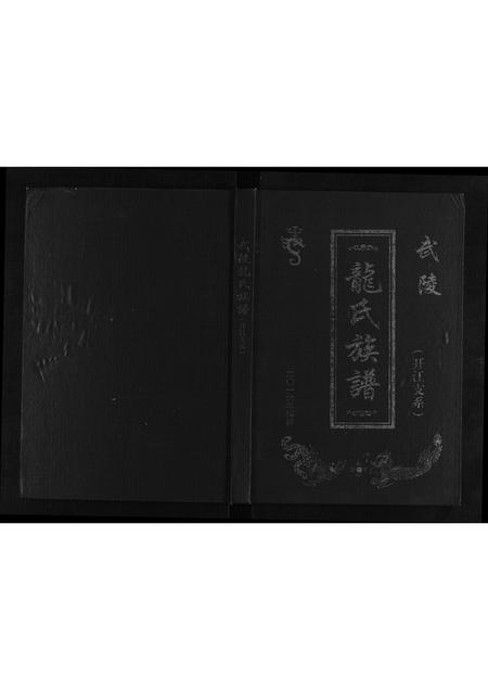 四川龙氏-龙氏族谱.pdf电子版缩略图