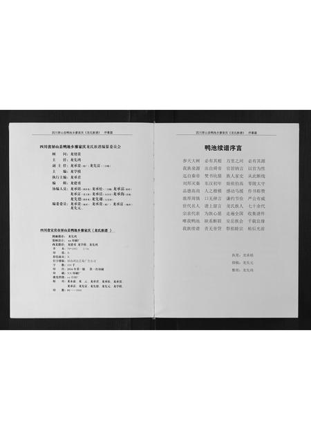 四川龙氏-龙氏族谱[不分卷].pdf电子版预览图4