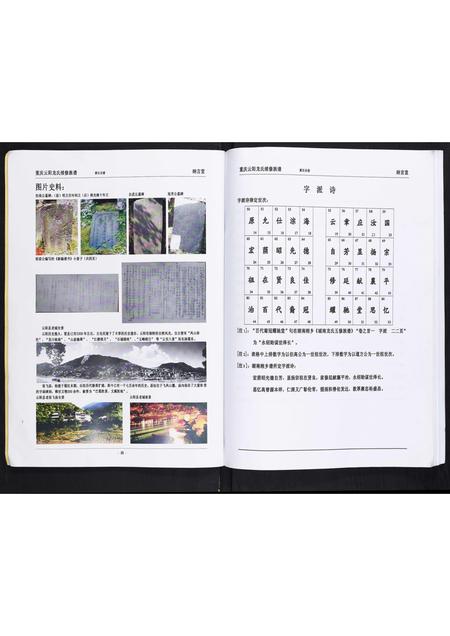 四川龙氏-龙氏续修族谱[不分卷].pdf电子版预览图3