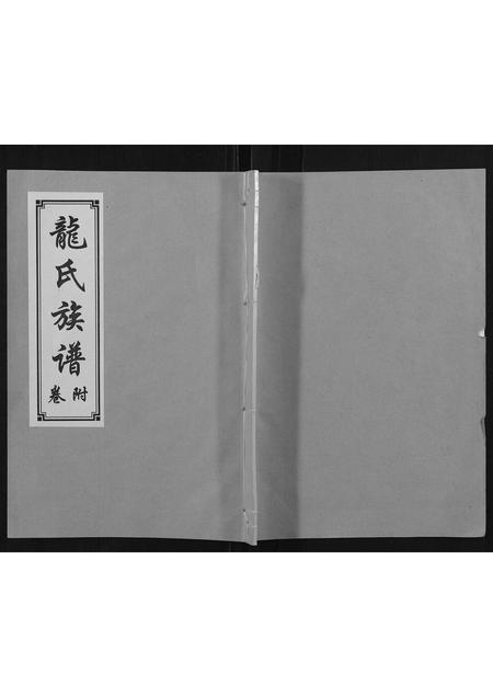 山东龙氏-龙氏族谱[5卷].pdf电子版缩略图