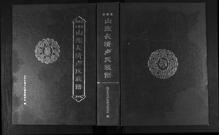 山东卢氏-山东长清卢氏族谱.pdf电子版缩略图