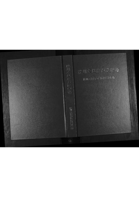 山东卢氏-滕州大赵庄卢氏家谱.pdf电子版缩略图