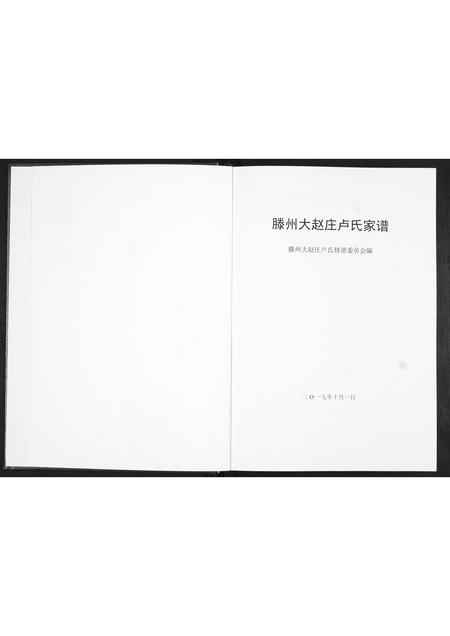 山东卢氏-滕州大赵庄卢氏家谱.pdf电子版预览图2