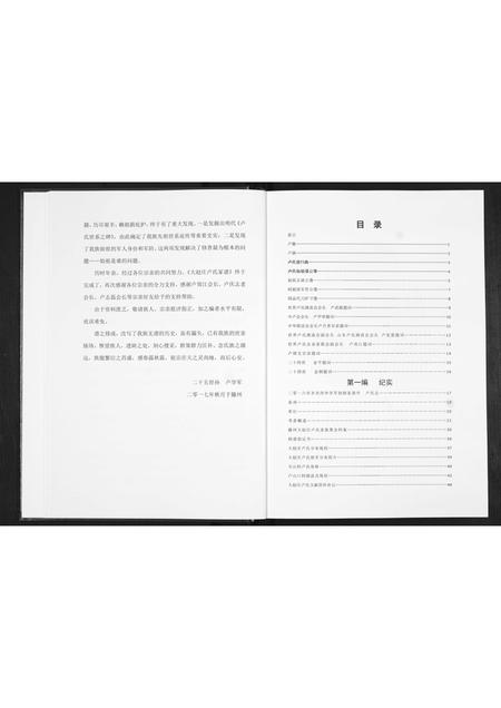 山东卢氏-滕州大赵庄卢氏家谱.pdf电子版预览图4