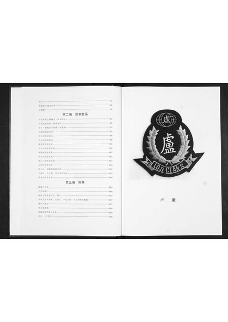 山东卢氏-滕州大赵庄卢氏家谱.pdf电子版预览图5