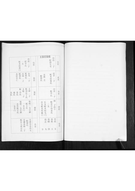 山东卢氏-卢氏宗谱.pdf电子版预览图2