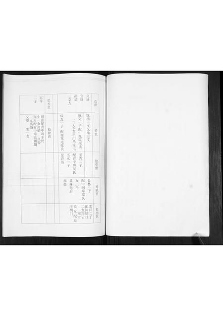 山东卢氏-卢氏宗谱.pdf电子版预览图3