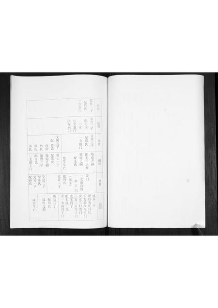 山东卢氏-卢氏宗谱.pdf电子版预览图4