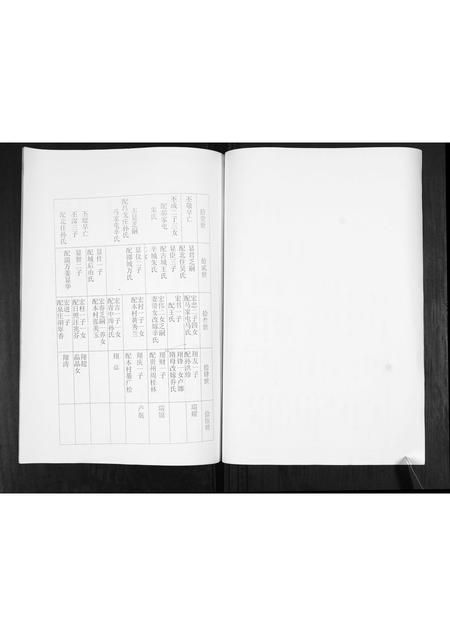 山东卢氏-卢氏宗谱.pdf电子版预览图5