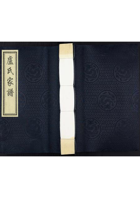 山东卢氏-卢氏家谱.pdf电子版缩略图