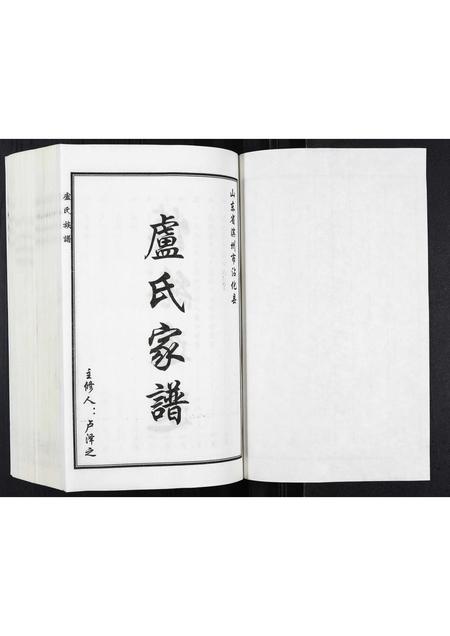 山东卢氏-卢氏家谱.pdf电子版预览图1