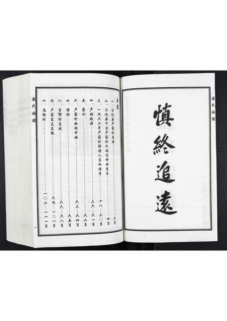 山东卢氏-卢氏家谱.pdf电子版预览图2