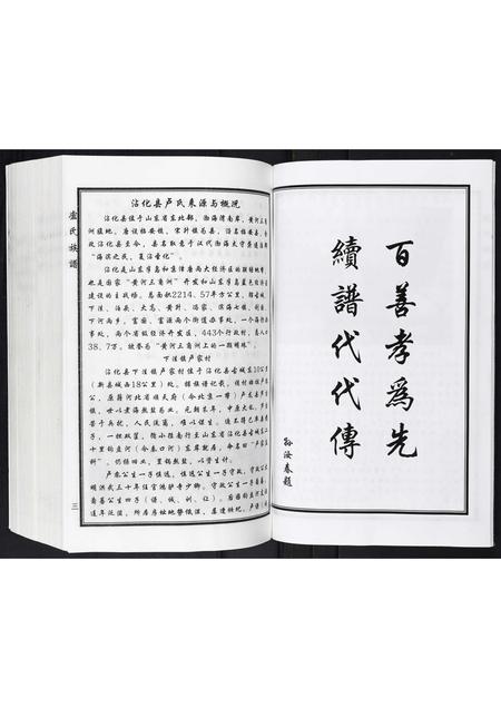 山东卢氏-卢氏家谱.pdf电子版预览图4