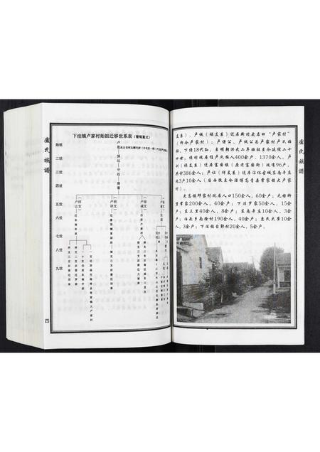 山东卢氏-卢氏家谱.pdf电子版预览图5